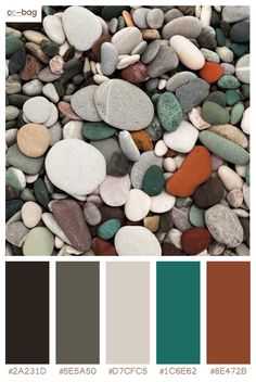 some rocks and gravel with different colors on them in the color palettes are brown, green