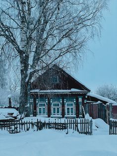 a small wooden house covered in snow next to a tree with no leaves on it