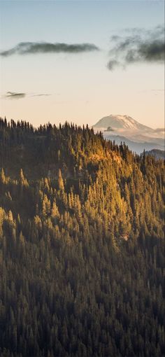 the sun is shining on some trees and mountains