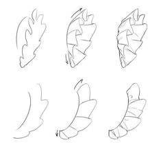 the steps to draw leaves with different shapes and sizes, including one for each leaf