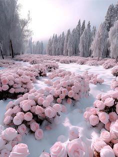 pink flowers in the snow surrounded by trees and bushes with frosted branches on them