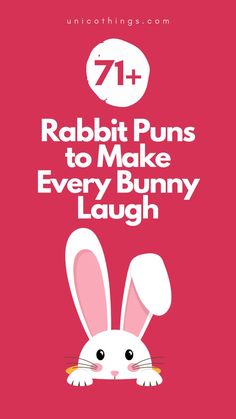 rabbit with the words rabbit puns to make every bunny laugh