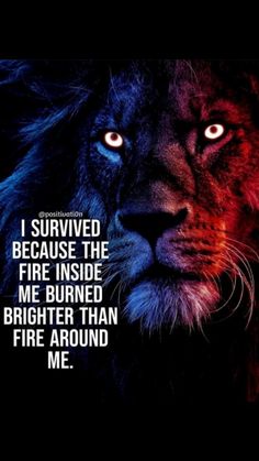 a lion's face with the words i survived because the fire inside me burned brighter than