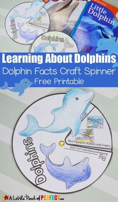 dolphin crafts and activities for children to do with the dolphins