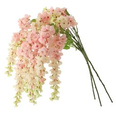 pink and white flowers are hanging from a branch