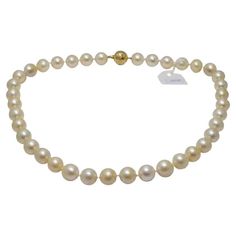 This Ladies Necklace is made of fine light cream color Akoya pearls (dimensions 11×10.5mm) and has 18k yellow gold clasp (clasp weight 15.6g). Total length – 45cm(17.75″) The Necklace comes in Luxury style. Total necklace weight: 69.6 gram. Luxury Vintage Akoya Pearl Jewelry, Luxury Yellow Gold Pearl Necklace For Festive Occasions, Mikimoto Jewelry, Jewelry Princess, Light Cream Color, Ladies Necklace, Vintage Beads Necklace, Akoya Pearls, Light Cream