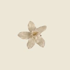 a single white flower floating in the air