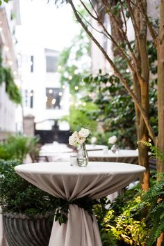 a table with a flower vase on it in the middle of some plants and trees