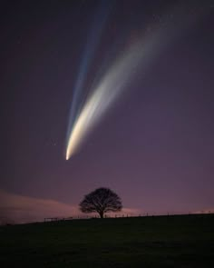 an image of two comets in the sky above a tree at night with stars