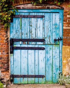 an old blue door with ivy growing on it's side and brick wall in the background