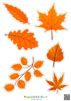 an image of autumn leaves cut outs