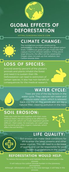 Posters On Deforestation, Deforestation Infographic Design, Poster On Deforestation, Afforestation And Deforestation Drawings, Stop Deforestation Poster, Deforestation Poster Ideas, Deforestation Photography, Deforestation Project, Deforestation Infographic