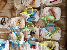 several small glass jars filled with different types of bugs