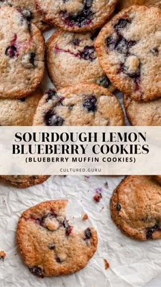 sourdough lemon blueberry cookies on top of parchment paper with the title overlay