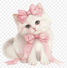 a white cat with a pink bow on it's head, sitting down and looking at the camera