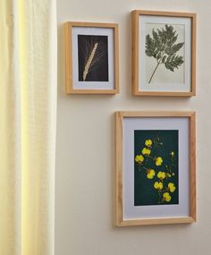 three framed pictures hang on the wall next to each other, with yellow flowers in them