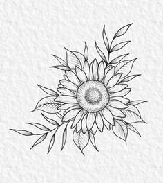 a black and white drawing of a sunflower