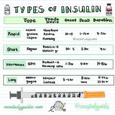 the types of insailin on lined paper with an orange needle and measuring tape