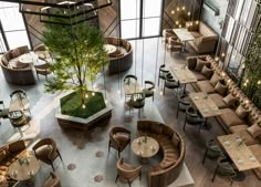 an overhead view of a restaurant with wooden tables and chairs, green plants on the table