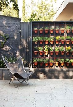 a chair sitting next to a wall filled with potted plants