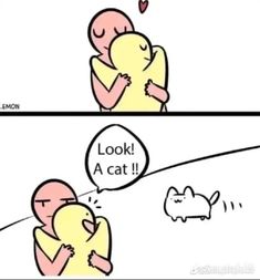 a comic strip with an image of a man hugging a cat and the caption says, look a cat