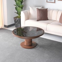 a living room with a couch, coffee table and potted plant in the corner