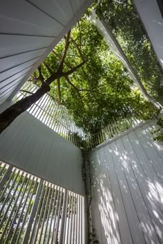 the inside of a house with white siding and trees growing on it's sides