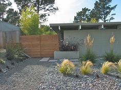 a graveled area with plants and rocks in front of a fenced in house