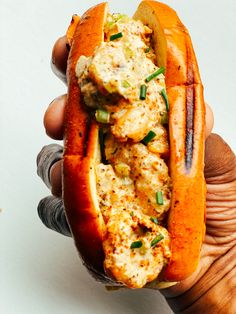 a person holding a hot dog with toppings in their hand, on a white surface