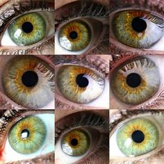 Lynda Olsen green eye with Central heterochromia. Iridium Heterochromia Eye Color Facts, Central Heterochromia, Heterochromia Eyes, Rare Eye Colors, Hazel Green Eyes, Eye Color Chart, Rare Eyes, Different Colored Eyes, True Autumn