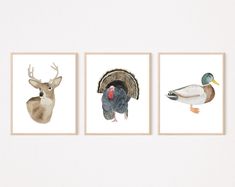 three pictures of different types of birds and animals