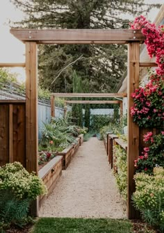 a garden with lots of plants and flowers