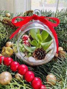 a christmas ornament with succulents, pine cones and other decorations