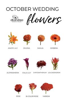 October Wedding Flowers Hoco Bouquet, October Wedding Colors, Wedding Flowers Fall, Bridal Bouquet Preservation, Fall Bridal Bouquet, October Wedding Flowers, Homecoming Poses, Fall Wedding Color Schemes, October Flowers