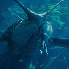 a man swimming in the ocean next to a giant fish