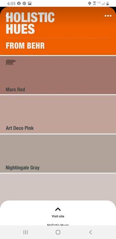 the website for holstic hues from bear to mars red, art deco pink, and nightlight gray