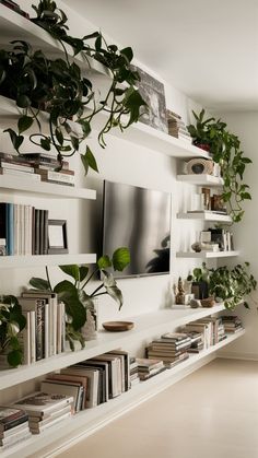 a living room with bookshelves and plants on the wall, along with a flat screen tv