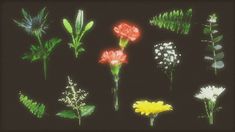 a bunch of flowers that are on a black background with some green and white plants