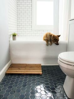 a cat is sitting on the edge of a bathtub in a bathroom with blue tiles