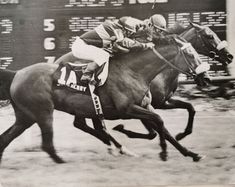 black and white photograph of two jockeys on horses racing down the track in front of a scoreboard