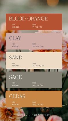 Gold And Orange Color Palette, Sage Cream Color Palette, Clementine Color Palette, Green Orange Cream Color Palette, Sage Green And Orange Color Palette, Inspirational Color Palette, Colours That Go With Gold, Color Palette Sand, Color Palettes Branding