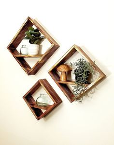 three square wooden shelves with plants on them