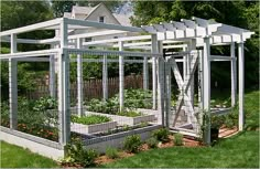 an outdoor garden area with various plants in it