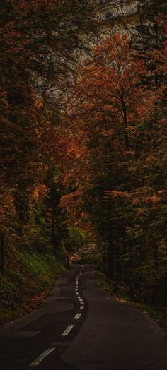 an empty road surrounded by trees in the fall