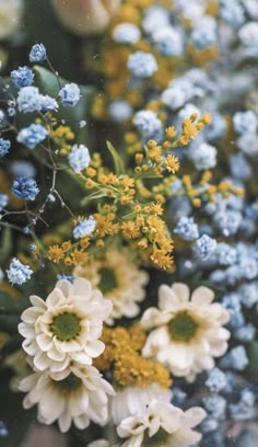 some white and blue flowers are in the middle of green stems with yellow ones on them