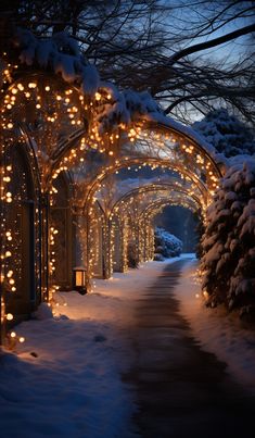 an archway covered in lights and snow at night