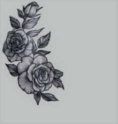 a black and white drawing of three roses