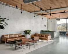 two people sitting on leather couches in an office with large windows and potted plants