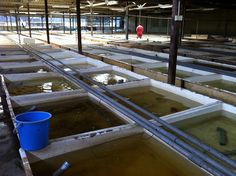 the inside of a building that has water in it and several buckets on the floor