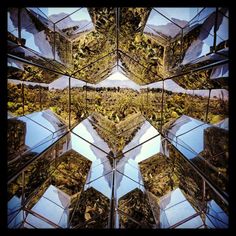 the reflection of trees and mountains in glass cubes